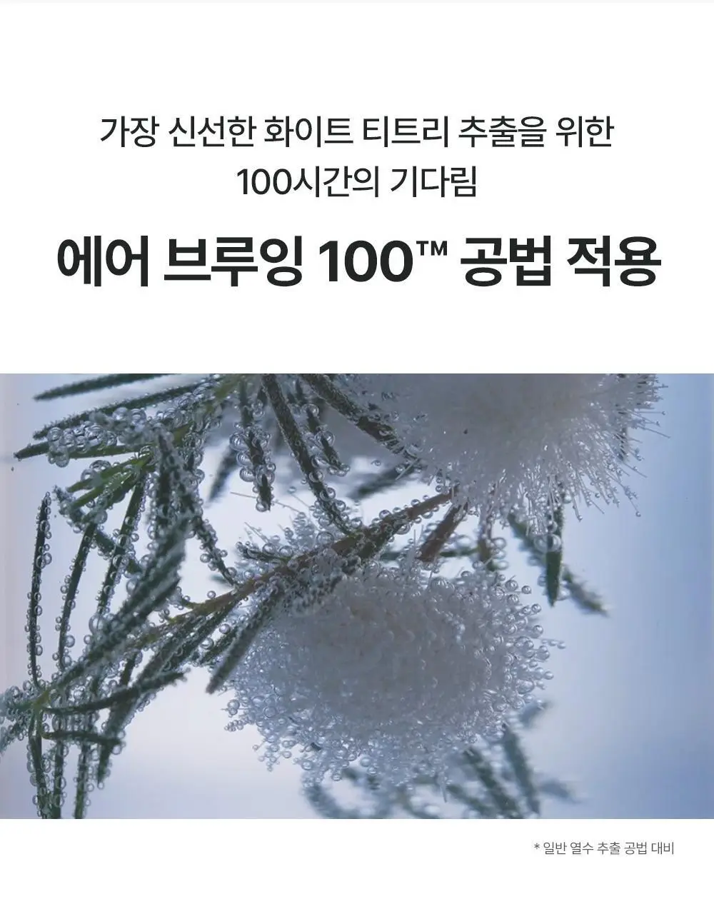[모공/피지 클렌징] 티엘스 화이트 티트리 아크 플러스 팩클렌저 100ml 상세페이지 53